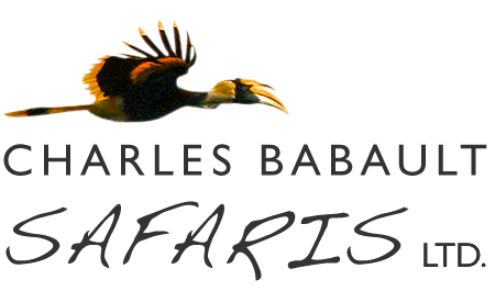 Charles Babault Safaris