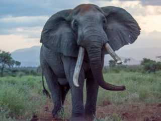 Kenya