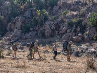 Gonarezhou NP